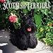 Scottish Terriers 2001 Calendar