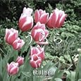 ���i�̏ڍ�