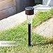 Momentum BLK-56732 Kealive Stainless Steel LED Solar Powered Path Light, 6-Piece