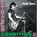 Pete Yorn: Strange Condition