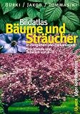 Bildatlas B�ume und Str�ucher in Zierg�rten und Parkanlagen