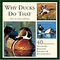Why Ducks Do That: 40 Distinctive Duck Behaviors Explained & Photographed
