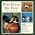Why Ducks Do That: 40 Distinctive Duck Behaviors Explained & Photographed