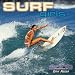 Surf Girls 2009 Wall Calendar (Calendar)