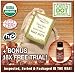 Raw Food Kitchen Essentials