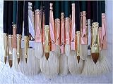Daniel Greene Master Portraiture Set of 27 Silver Brushes
