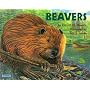 Beavers