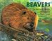 Books : Beavers
