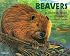 Beavers