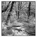 Yosemite by Preston - 1.5"&nbsp;