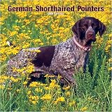 German Shorthaired Pointers Wall (BROWNT - 2008 Calendar