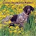   - German Shorthaired Pointers Wall (BROWNT - 2008 Calendar