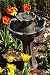 Solar Birdbath Fountain with Mini Frog Statues