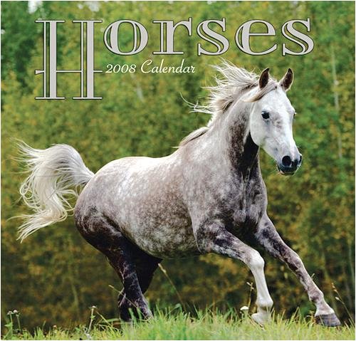 2008 andalusian horse calendar