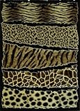 Animal Prints
