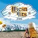 Musik : Wiesn Hits 2008