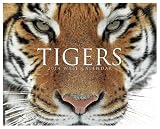 Tigers 2014 Calendar