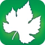 Audubon Trees - A Field Guide to North American Trees