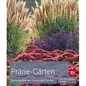 Prärie-Gärten: Kompositionen aus Gräsern und Stauden