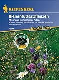 Eigenschaften Kiepenkerl - Blumen-Saatgut  / Bienenfutterpflanzen Mischung mehrjähriger Arten