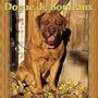 Dogue de Bordeaux 2002 Wall Calendar (French Edition)