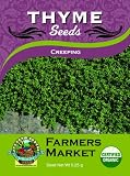 Organic Creeping Thyme Seeds 61GWT7MRHBL. SL160 Organic Creeping Thyme Seeds