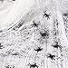 Glowing Halloween Spider Web Stretchy for Halloween Decorations Indoor Outdoor with 65 Fake Spiders (Normal & Glowing 3 Sizes)