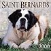 Saint Bernards 2000 Calendar