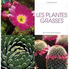 Les plantes grasses