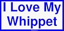 I Love My Whippet Bumper Sticker