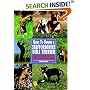Guide to Owning a Staffordshire Bull Terrier (Guide to Owning Dog Series)
