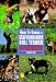 Guide to Owning a Staffordshire Bull Terrier (Guide to Owning Dog Series)