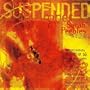 SUSPENDED IN AMBER:PEEBLES