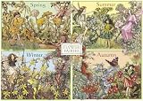 Flower Fairies Four Seasons 1000 Piece Jigsaw