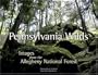 Pennsylvania Wilds: Images from the Allegheny National Forest