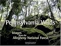 Pennsylvania Wilds: Images from the Allegheny National Forest