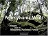 Pennsylvania Wilds: Images from the Allegheny National Forest