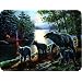 River's Edge Beautiful Tempered Glass Cutting Board with Mama Black Bear and Cubs Design (12 x 16-Inch)