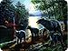 River's Edge Beautiful Tempered Glass Cutting Board with Mama Black Bear and Cubs Design (12 x 16-Inch)