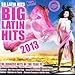 Big Latin Hits 2013 / Various