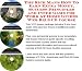 The Incredible Make An Extra Income, Marketing and Inner Game for Work At Home Guides Web Businesses 3 CD Power Pack