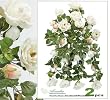 TWO 24" Artificial William Rose Hanging Flower Bushes Wedding