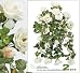 TWO 24" Artificial William Rose Hanging Flower Bushes Wedding, with No Pot,