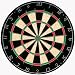 Sportcraft Bristle Dartboard