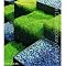 The Modern . . Garden !