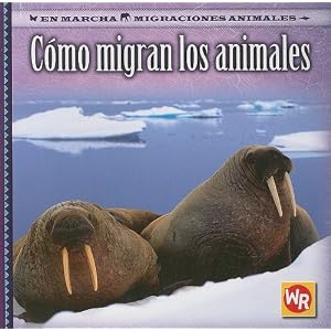 animalesd animalesdibujosinvertebrados