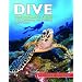 Dive: The Ultimate Guide to the World's Top Dive Locations
