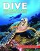 Dive: The Ultimate Guide to the World's Top Dive Locations
