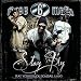 Stay Fly (Explicit Album Version) cover