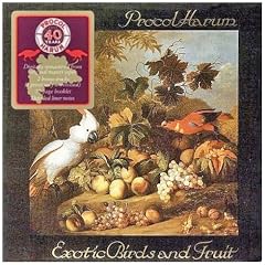 Exotic Birds And Fruit